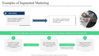 Target Marketing Strategies Examples Of Segmented Marketing Ppt ...