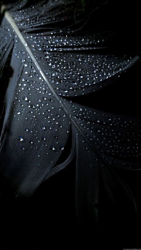 Pure Black Backgrounds Wallpapers - Wallpaper Cave