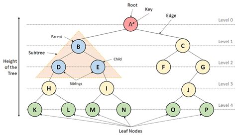 Classification Of Data Structures Find Todays Notes