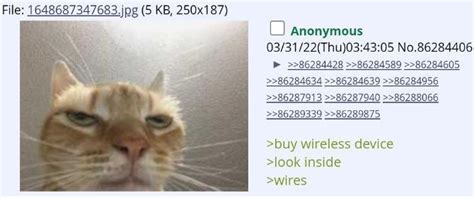 What Huh Snufkin Wh What The Fuck Are You Doing Here