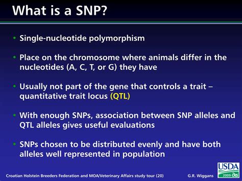 PPT Overview Of The Dairy Genetic Evaluation System PowerPoint