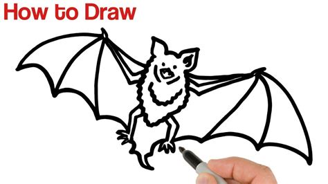 How To Draw A Bat Super Easy Youtube