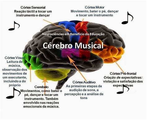 Clínica do Deficiente Musical MÚSICA NEUROCIÊNCIA E