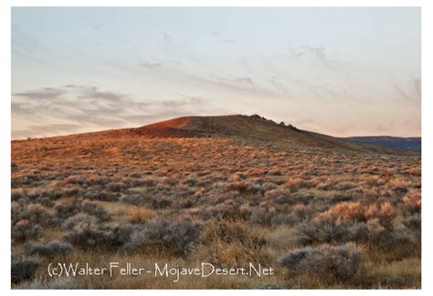 KNOLL - Mojave Desert - Glossary of Terms and Definitions