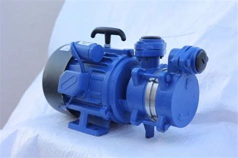 Hp Self Priming Pumps S Shree Ram Blu At Best Price In Rajkot