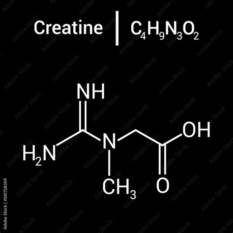 Structure Of Creatine Phosphokinase at Rose Tims blog