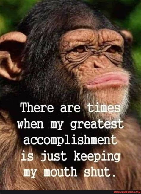 A Chimpan Monkey With The Caption There Are Times When My Greatest