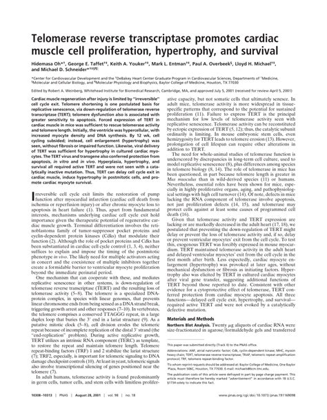 Pdf Telomerase Reverse Transcriptase Promotes Cardiac Muscle Cell