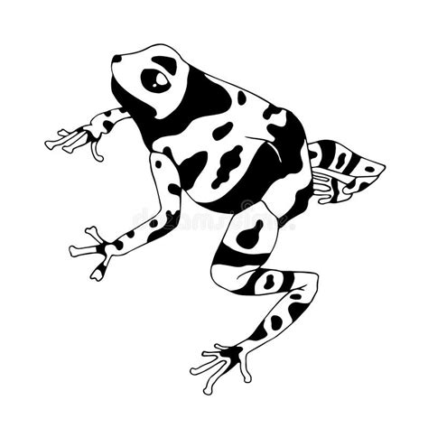 Isolated Vector Illustration Of A Tropical Poison Dart Frog