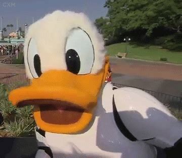 Fuck Yeah Disney Gifs