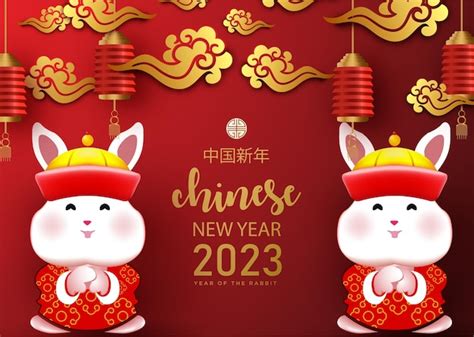 Premium Vector | Happy 2023 cny with cute bunny illustration.