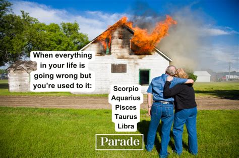 75 Funny Zodiac Memes For Every Sign Parade