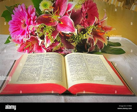 Flores En La Biblia: Belleza Y Esperanza | TeleFlor