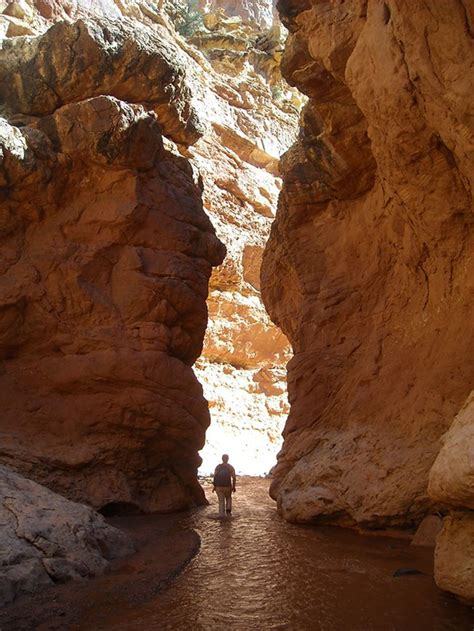 Sulphur Creek Capitol Reef National Park Us National Park Service