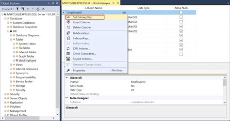 Primary Key In Sql Server