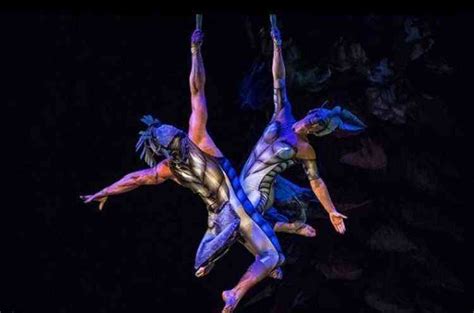 Cirque du Soleil traz ao Brasil OVO o espetáculo dirigido por