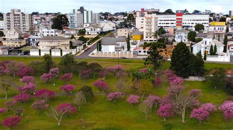 Veja O Que Abre E Fecha No Feriado Da Padroeira De Guarapuava Campos