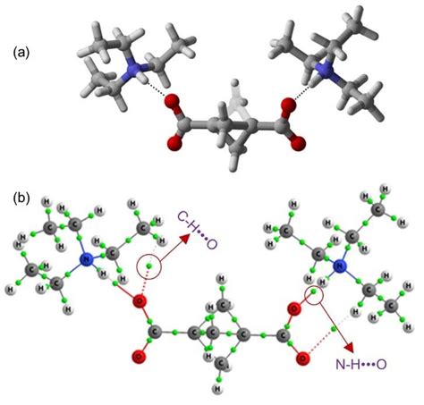 A Optimized Structure For Bcp 1 3 Dicarboxylate And Triethylamine Download Scientific