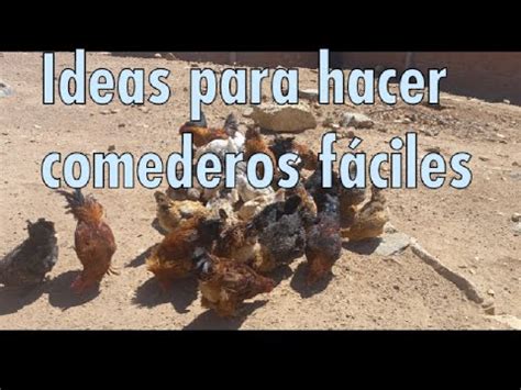 Como hacer un comedero casero de llanta fácil y económico para gallina