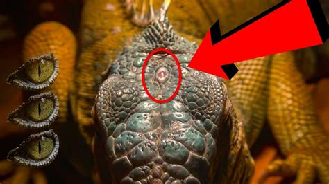 El Tercer Ojo De Los Reptiles Ojo Parietal The Third Eye Of