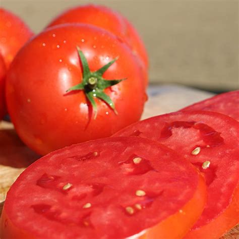 Hybrid Tomato Big Beef Plus