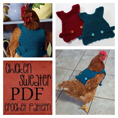 Chicken Sweater Crochet Pattern – Jasmine Art Works