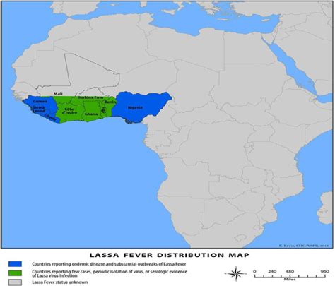 Health Lassa Fever Transmission In West Africa All You Need To Know