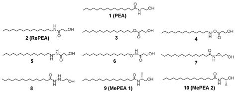 Ijms Free Full Text Synthesis Molecular Modeling And Biological