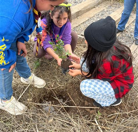 Plantando árboles nativos en el Marco del Aniversario 129 de nuestra