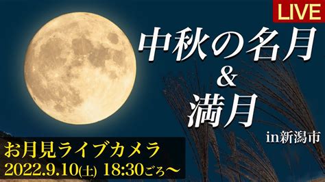 「中秋の名月」 おーい、とらちゃん出番だよ！