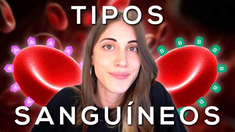 C Mo Se Escribe El Tipo De Sangre Gu A Completa Para Entender Y