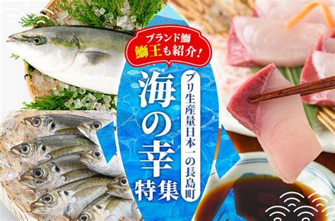 鹿児島県長島町から鮮度抜群の海の幸をお届け！｜ふるさとチョイス ふるさと納税サイト