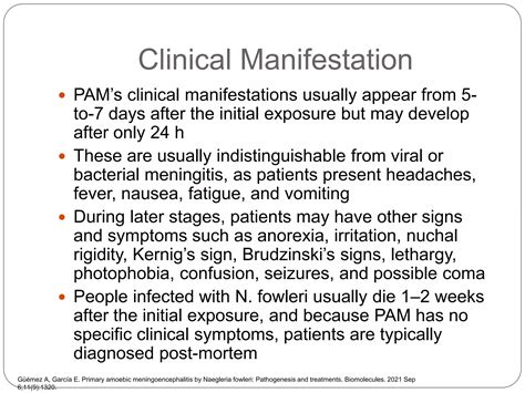 Primary Amoebic Meningoencephalitispptx