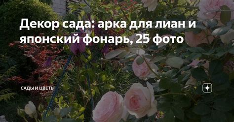 Декор сада: арка для лиан и японский фонарь, 25 фото | Сады и цветы | Дзен