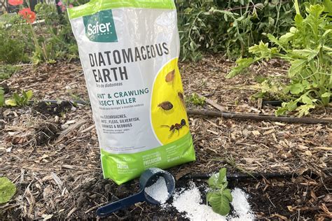 Diatomaceous Earth — San Diego Seed Company