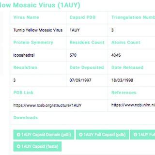 Details of a selected capsids structure. Capsid files: capsid domain... | Download Scientific ...