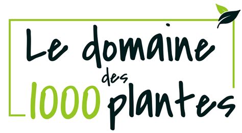 Baumes et onguents bio issus de plantes aromatiques et médicinales