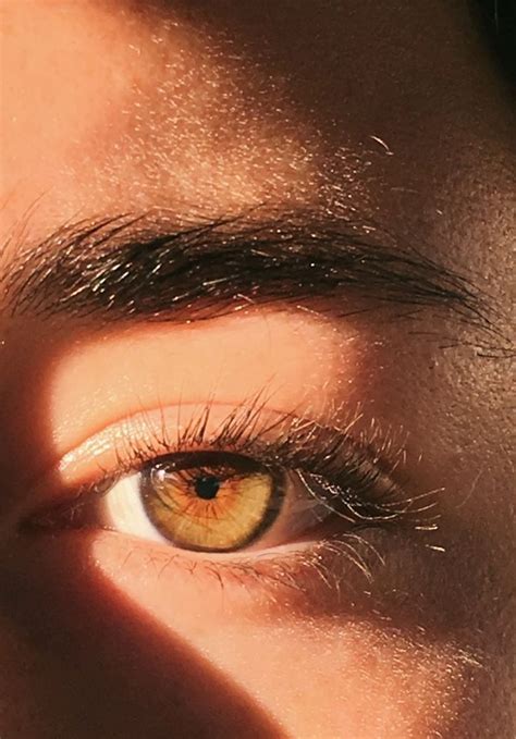 Pin By K 🩵 On My Pics Brown Eyes Aesthetic Beautiful Eyes Color