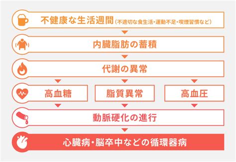 メタボリックシンドローム（メタボ）について知ろう｜診断基準・原因・改善方法 表参道メディカルクリニック