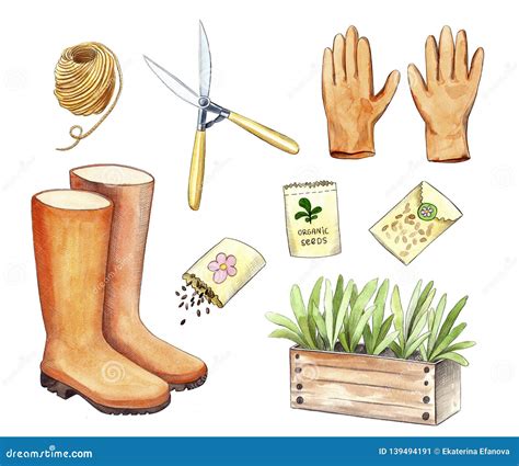 Watercolor Garden Tools Stock Illustration Illustration Of Flora