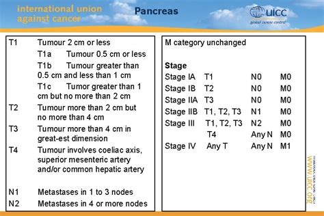 Tnm Classification Of Malignant Tumours Th 8 Edition