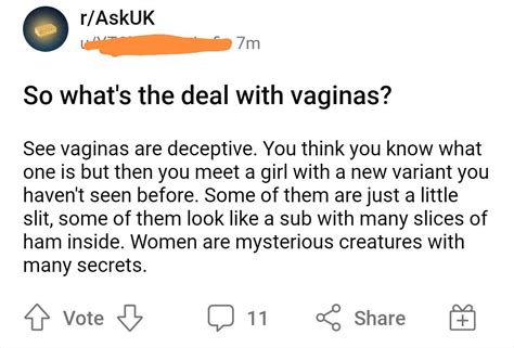 All My Secrets Are Hidden In My Vagina R Badwomensanatomy