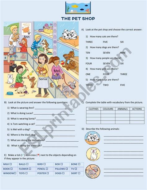 The Pet Shop Esl Worksheet By Demetermar