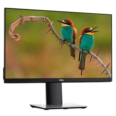 Monitor LED 23 Dell P2319H Full HD 1080P 60Hz 5Ms Negro Gris