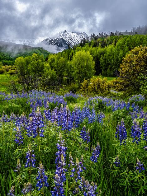 Explore The Light Photography Springtime In Colorado S San Juan