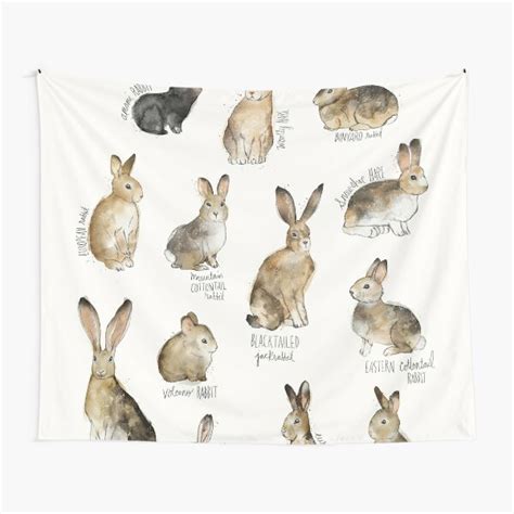 Rabbits And Hares Tapestry For Sale By Amyhamilton Redbubble