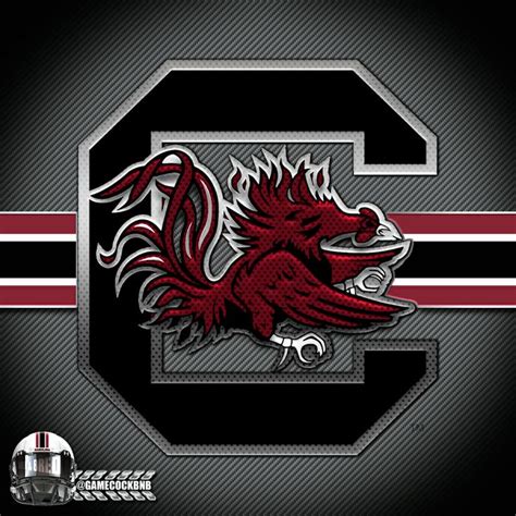 Pin by Melinda Elliott on Gamecocks | Go gamecocks, Carolina gamecocks ...