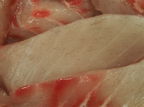 Rankin Cod with Hairy looking Flesh?? | Fishing - Fishwrecked.com