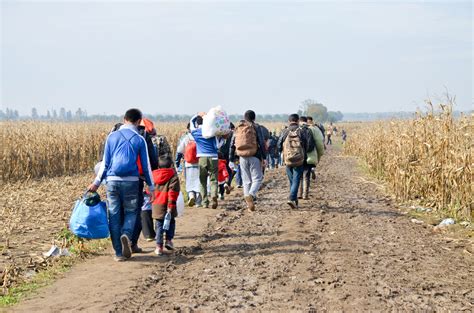 El N Mero De Personas Desplazadas Alcanza Los Millones En El Mundo