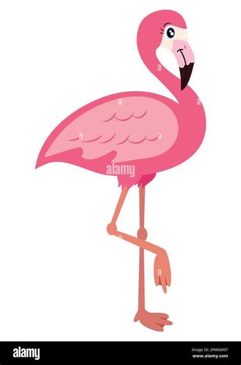 Pink Flamingo Vector Illustration Isolated On White Background